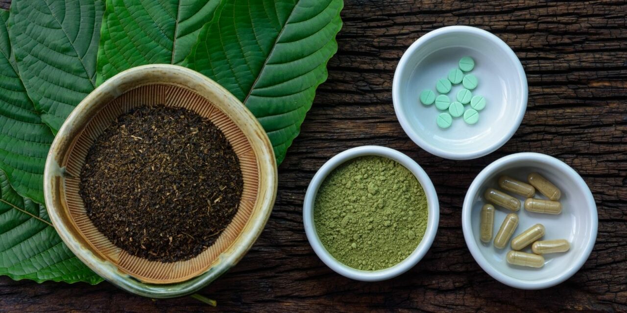 Can You Eat Kratom Here's What You Need To Know! | Dakind Botanicals