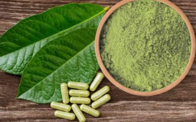 First Time Kratom Users Need to Know These Things Before Consuming!