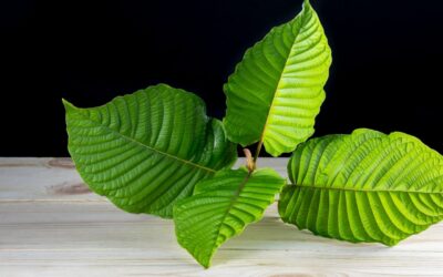 How You Can Support Kratom Use In The United States