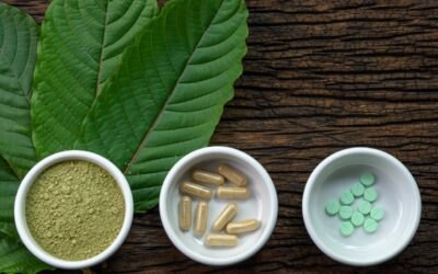 Understanding the Kratom Growth and Production Cycle