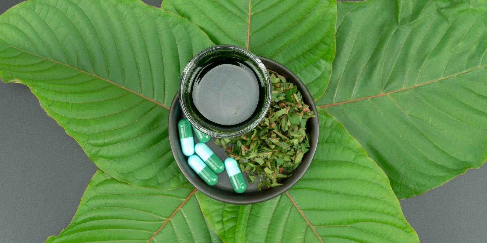 What You Need To Know About Kratom As A First Time Buyer | Dakind