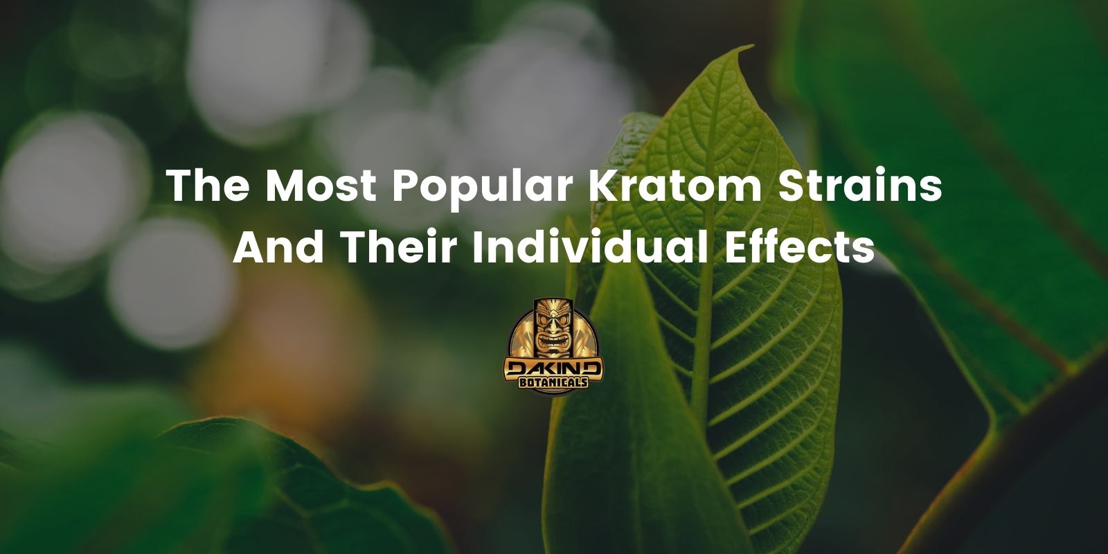 The Most Popular Kratom Strains And Their Individual Effects | Dakind ...