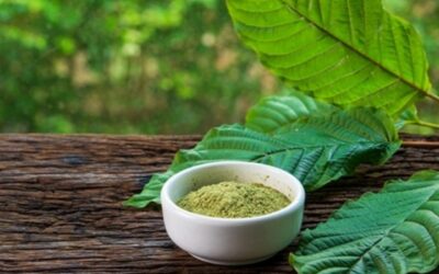 The Legality of Kratom in the United States: A Quick Guide