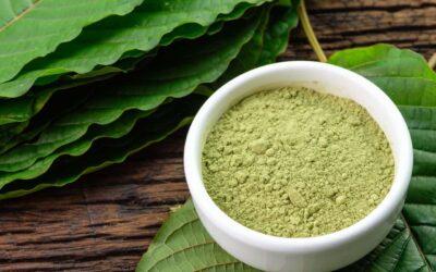 First Time Taking Kratom? Here’s A Kratom Dosage Guide So You Know How Much Kratom to Take