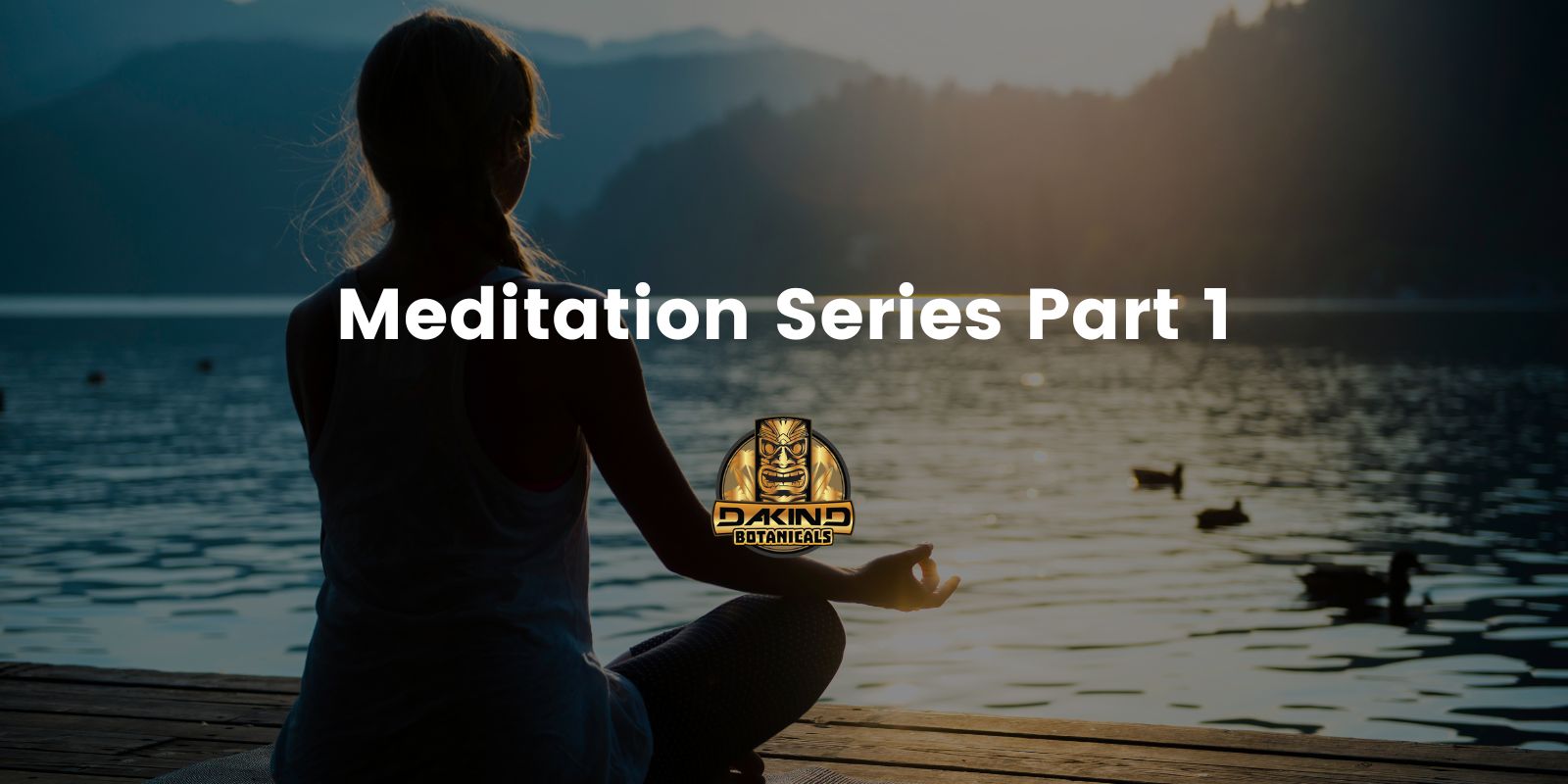 Meditation Series Part 1 